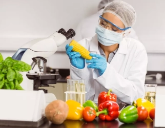 Técnico em Alimentos